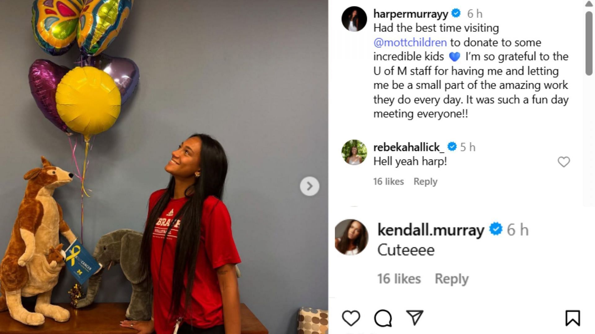 Screenshot of comments (image via IG/@harpermurrayy)